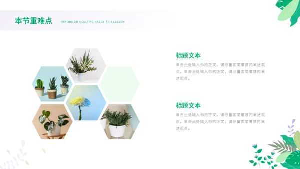 绿色小清新花卉教学模板