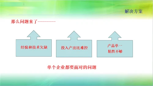 “宝宝家“母婴生态联盟.商业计划书