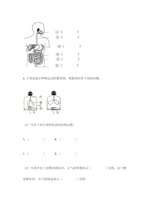 教科版四年级上册科学期末测试卷（满分必刷）.docx