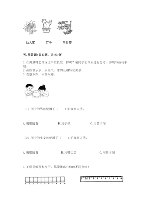 教科版一年级上册科学期末测试卷及参考答案（培优b卷）.docx