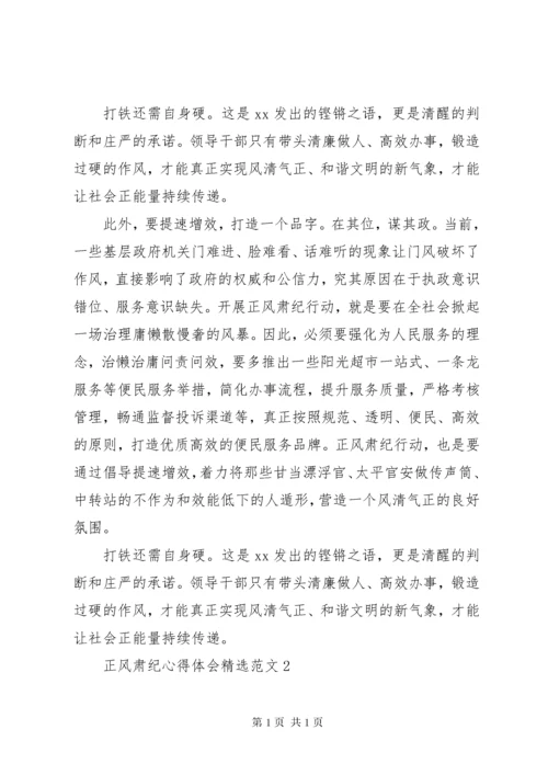 正风肃纪心得体会精选.docx