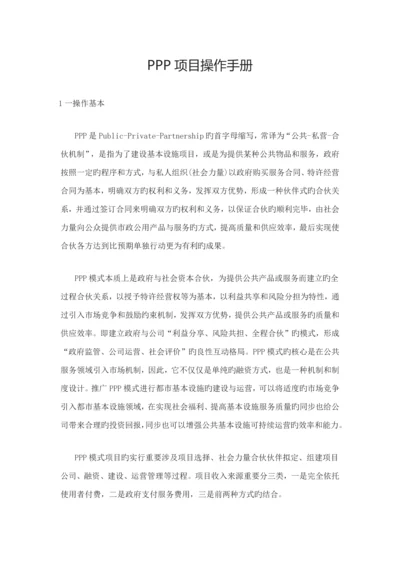 ppp专项项目管理操作标准流程.docx