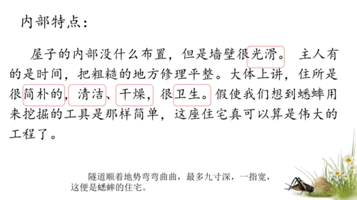 11 蟋蟀的住宅（课件）