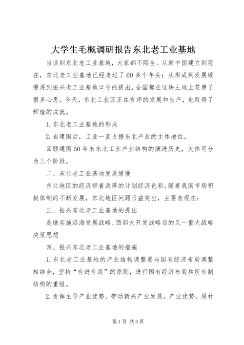大学生毛概调研报告东北老工业基地 (3).docx