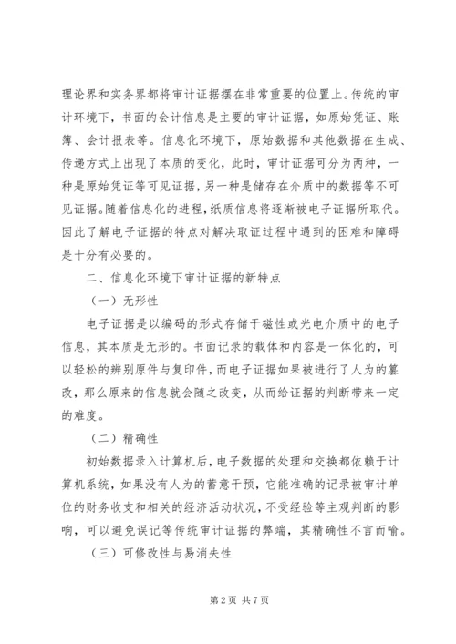 信息化环境下审计证据取证.docx
