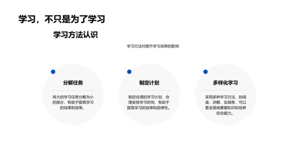 本科学习总结