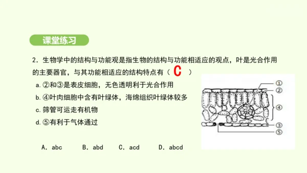 第三单元-第二章-第一节-水的利用与散失课件-2024-2025学年七年级生物下学期人教版(2024