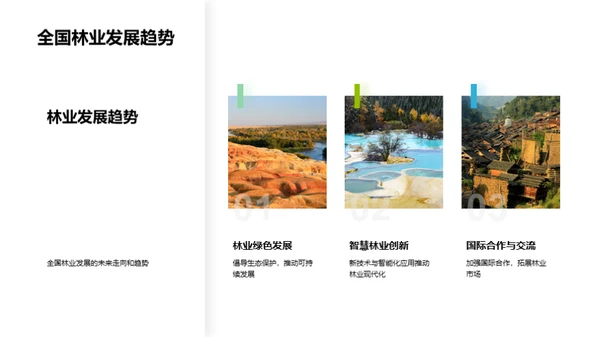 20XX年林业盘点与展望