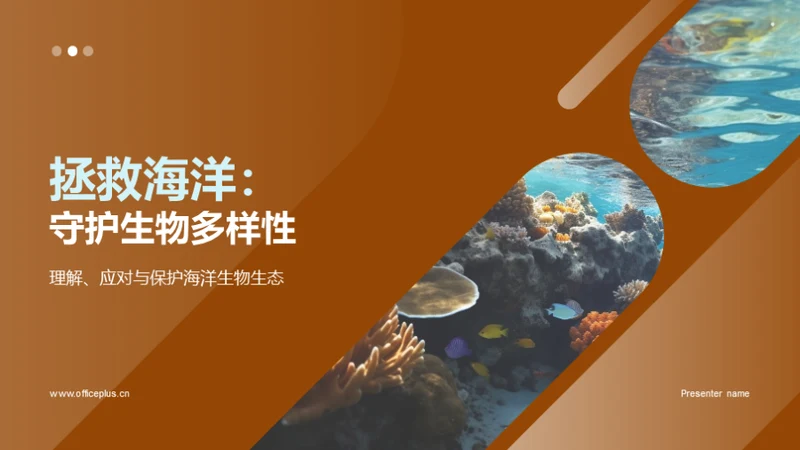 拯救海洋：守护生物多样性