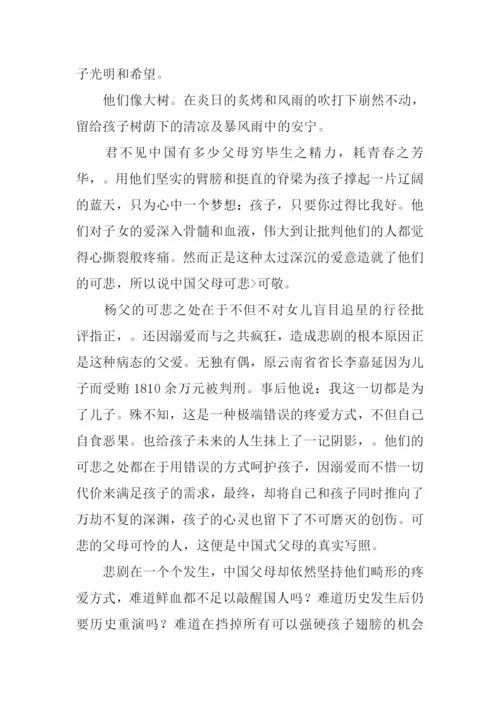 小议追星议论文.docx