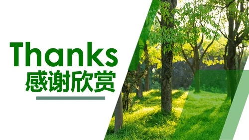 绿色森林湿地环境保护生态森林森业PPT模板