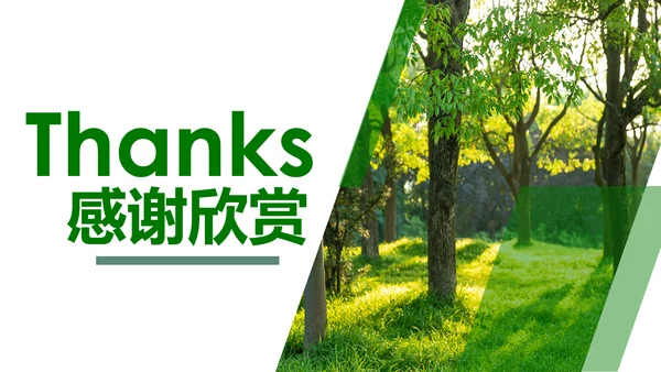 绿色森林湿地环境保护生态森林森业PPT模板
