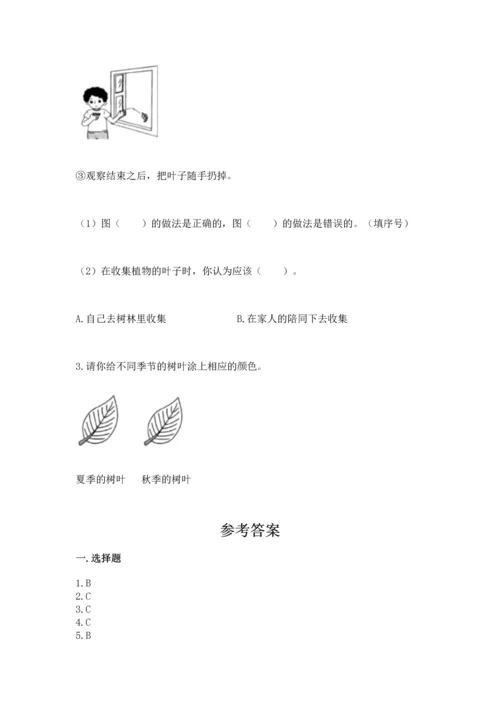 教科版科学一年级上册第一单元《植物》测试卷带答案（综合卷）.docx