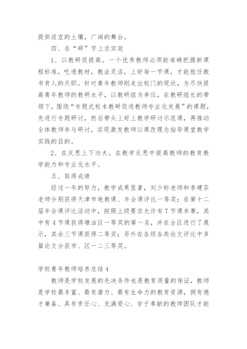 学校青年教师培养总结_2.docx