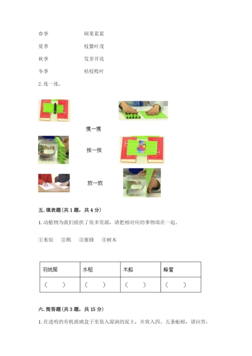 教科版小学二年级上册科学期末测试卷（综合题）.docx