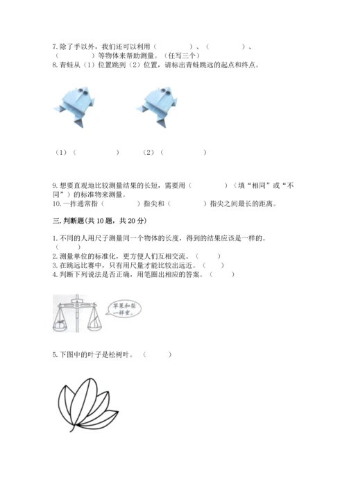 教科版一年级上册科学期末测试卷带答案（新）.docx