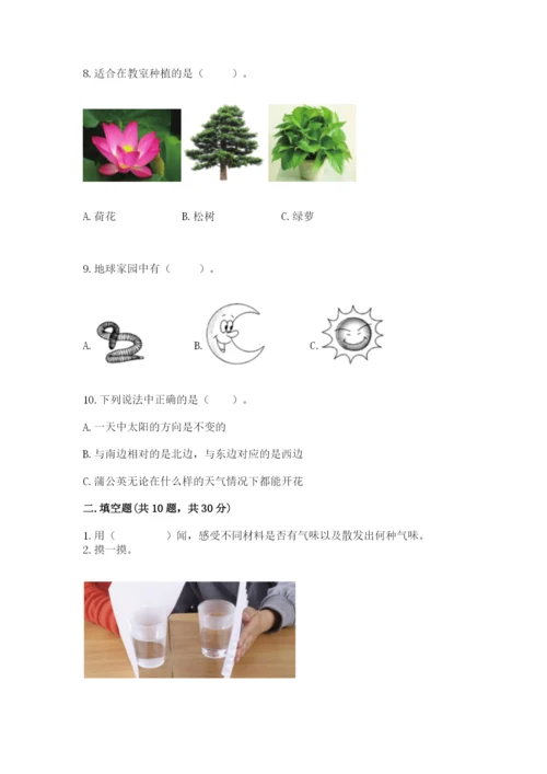 教科版二年级上册科学期末测试卷精品（b卷）.docx