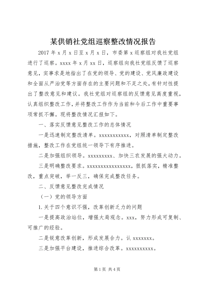 某供销社党组巡察整改情况报告.docx