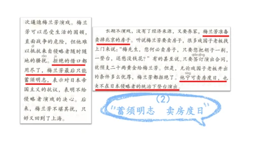 统编版语文四年级上册 语文第七单元期末复习   课件