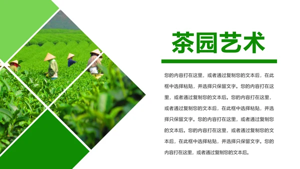 绿色唯美茶园艺术品茶文化茶园PPT模板