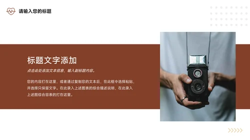 红黄宠物电商活动复盘分析PPT模板
