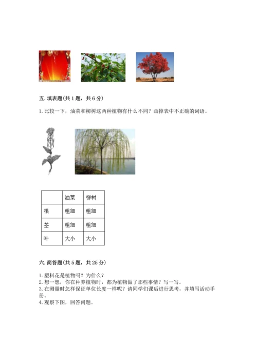 教科版科学一年级上册期末测试卷附参考答案（达标题）.docx