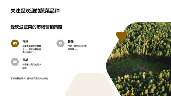 掌握蔬菜市场脉动