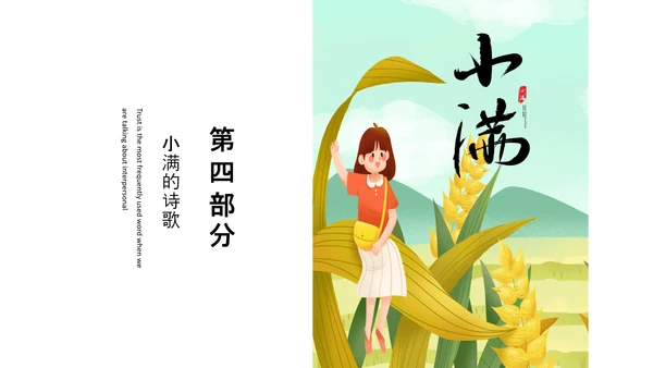 食粮丰收麦穗小满PPT模板