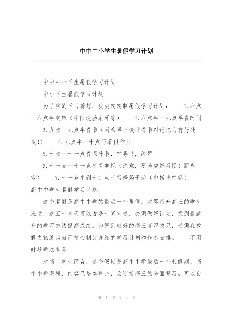 中中中小学生暑假学习计划.docx