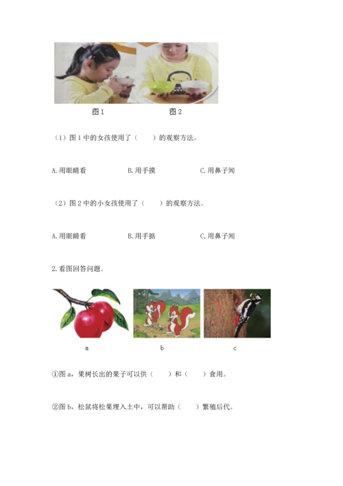 教科版二年级上册科学期末测试卷精品（b卷）.docx