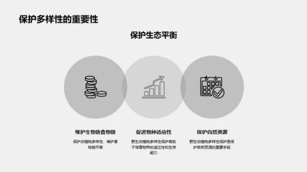 3D风其他行业教育活动PPT模板