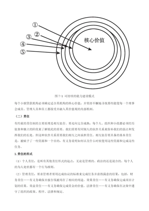 小额贷款机构的信贷风险管理-内部控制和欺诈防范.docx