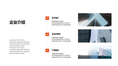 单色扁平3项企业介绍