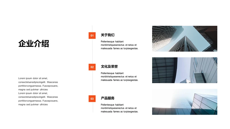 单色扁平3项企业介绍