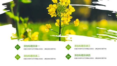 春天乡村旅游油菜花风景油菜花田PPT模板