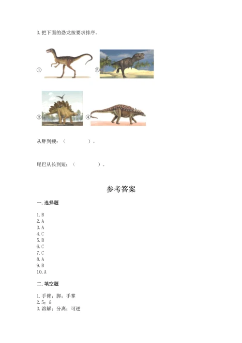 教科版一年级上册科学期末测试卷（培优b卷）.docx