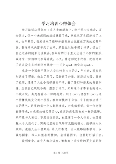 学习培训心得体会 (13).docx