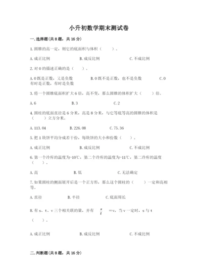 小升初数学期末测试卷汇编.docx