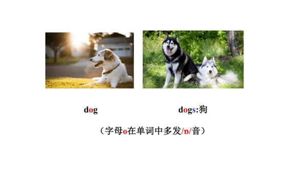 人教精通版小学英语三年级上册同步课件（共117张PPT)