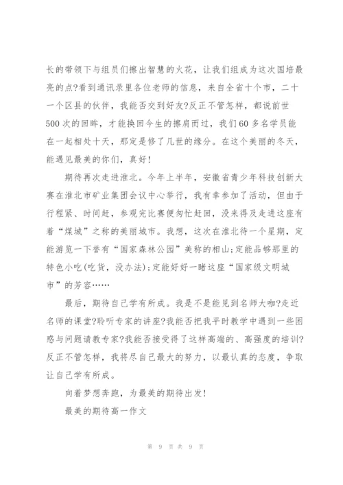 最美的期待高一作文5篇.docx