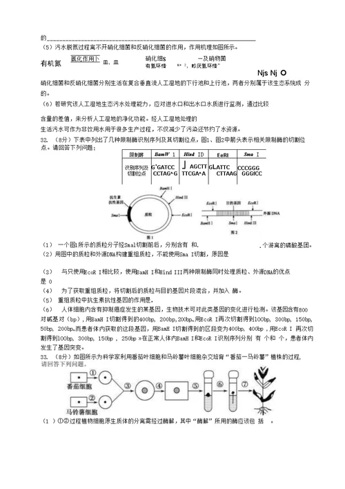 高二生物12月月考模拟练习题