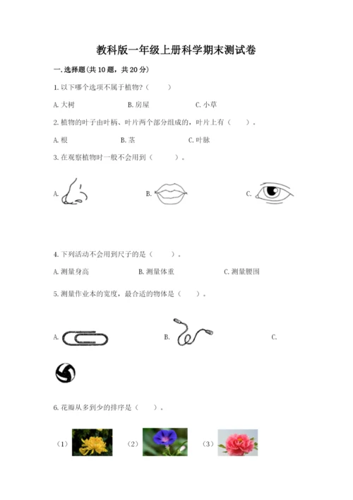 教科版一年级上册科学期末测试卷附参考答案（预热题）.docx
