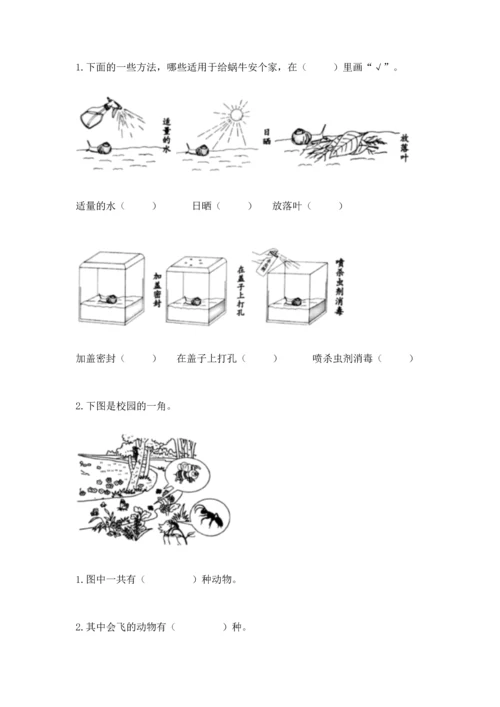 教科版一年级下册科学期末测试卷精品（网校专用）.docx