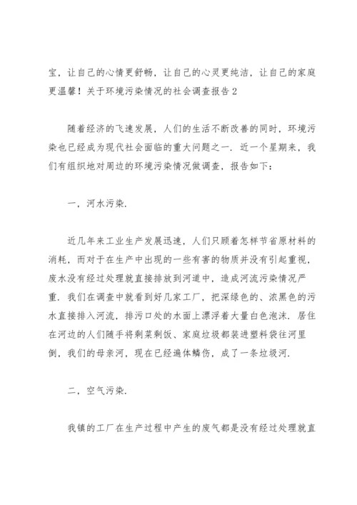 关于环境污染情况的社会调查报告.docx