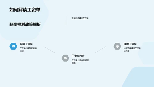 深度解析公司政策