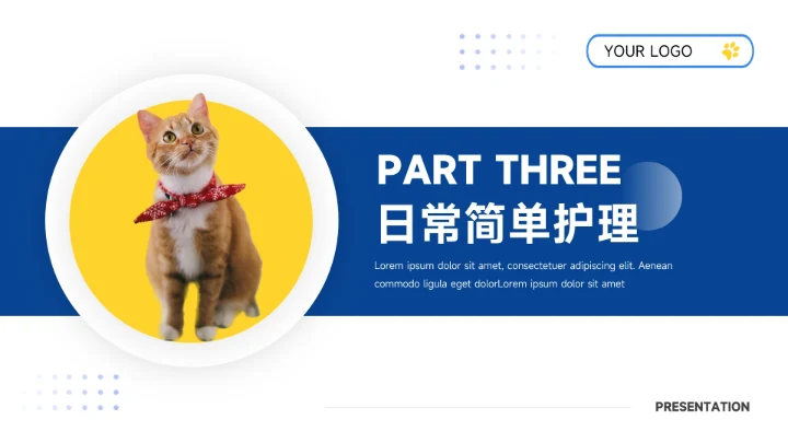 黄蓝剪影简约大气宠物健康护理PPT模板