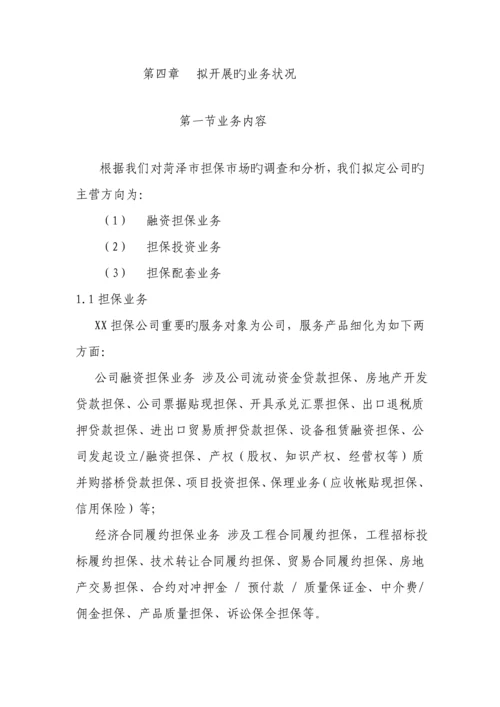 担保公司可行性专题研究报告详细(2).docx