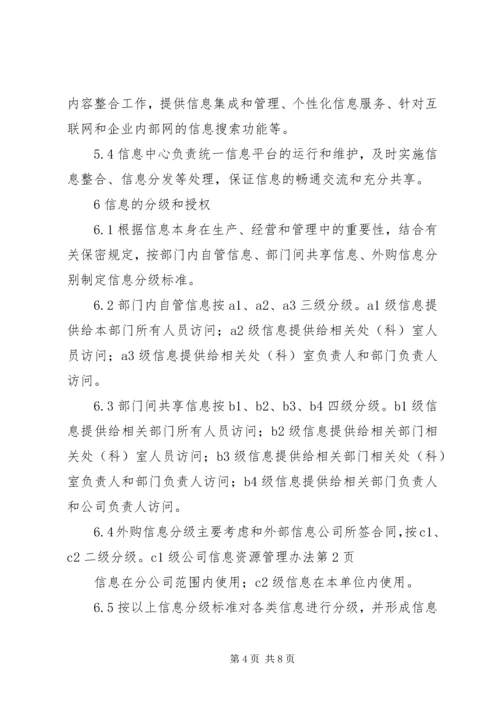 公司信息资源管理办法 (2).docx