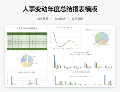 人事变动年度总结报表模版