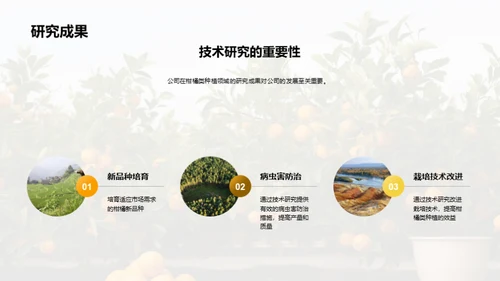 柑橘产业：未来之路
